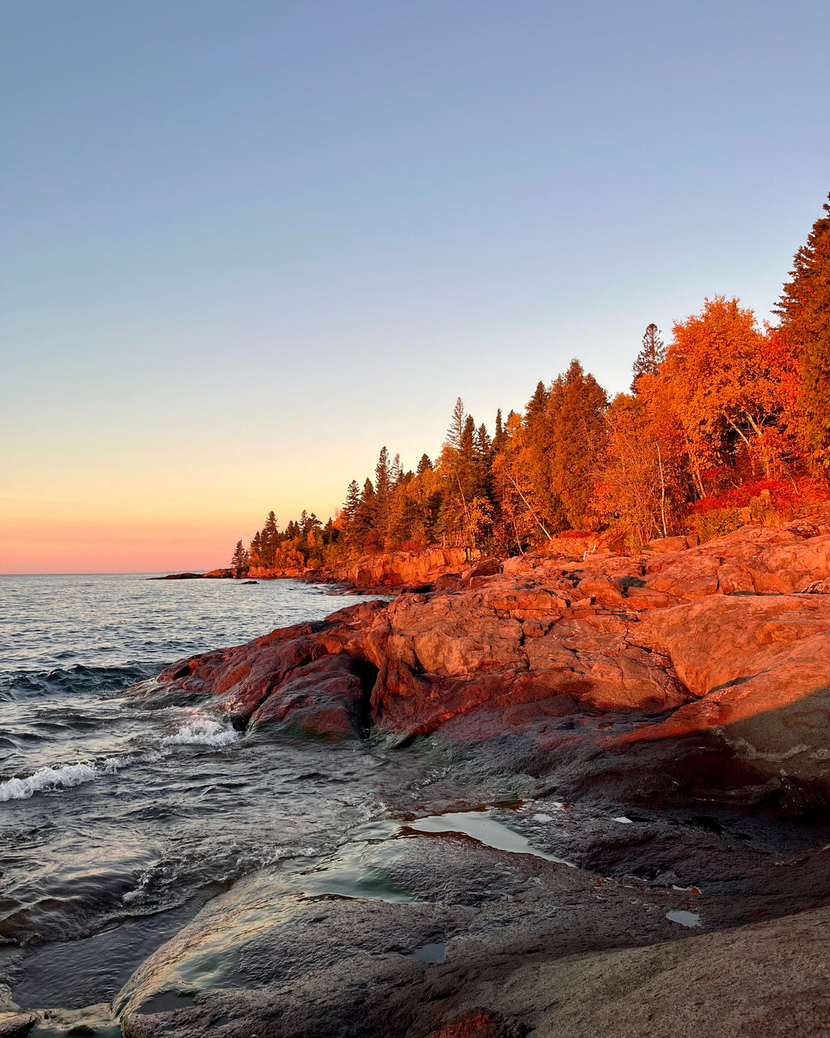 Red rocks and orange-tipped pines on the North Shore of Lake Superior at sunset